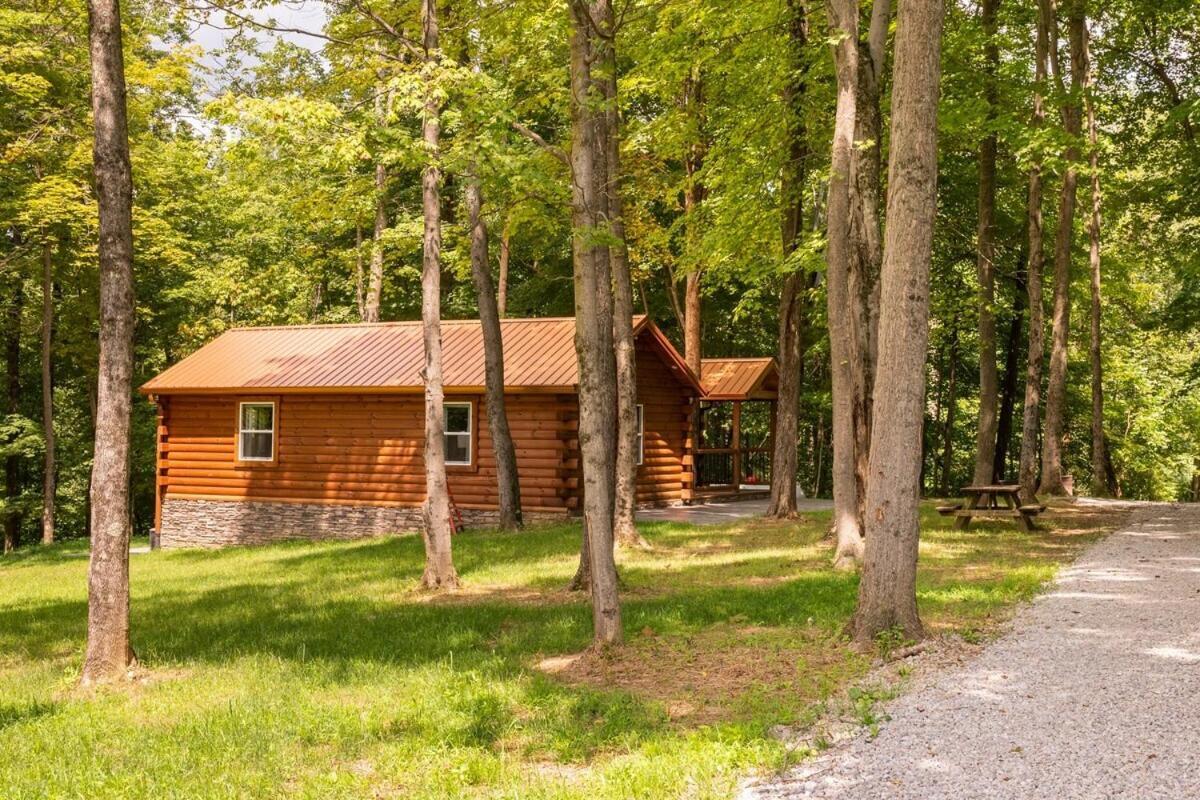 Secluded Wooded Cabin Near The Hocking Hills New Straitsville Eksteriør billede